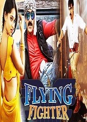 A Flying Fighter Hindi Dubbed