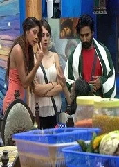 bigg-boss-10-2nd-december-2016 Bigg Boss 10 2nd December (2016)