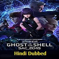 Ghost in the Shell SAC_2045 (2020) Hindi Dubbed Season 1