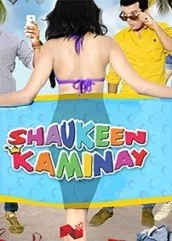 shaukeen-kaminay-2016 Shaukeen Kaminay (2016)