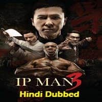Ip Man 3 Hindi Dubbed