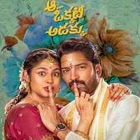 aa okkati adakku 2024 unofficial hindi dubbed full movie watch online aa okkati adakku 2024 unofficial hindi dubbed full movie watch online